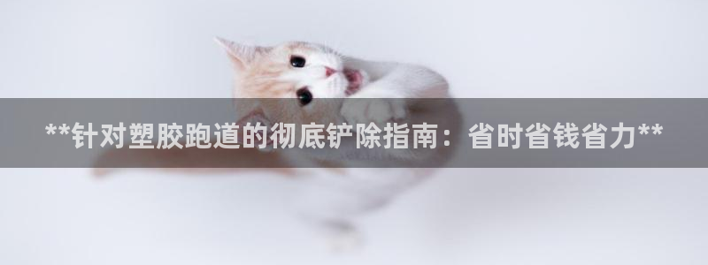红足1世足球网址