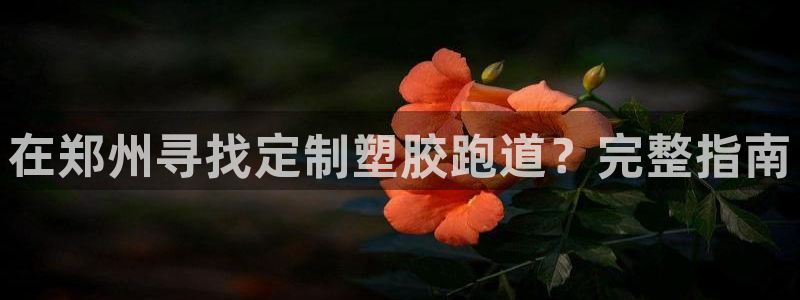 777814红·足一世：在郑州寻找定制塑胶跑道？完整指南