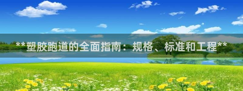 红足1世1站：**塑胶跑道的全面指南：规格、标准和工程**