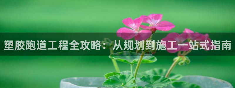 百度红足一1世