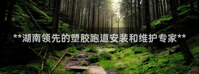 红足i世足球手机网：**湖南领先的塑胶跑道安装和维护专家**