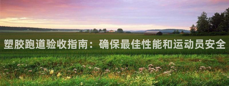44814红足：塑胶跑道验收指南：确保最佳性能和运动员安全