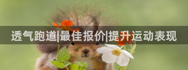 红足1世手足球比分：透气跑道|最佳报价|提升运动表现