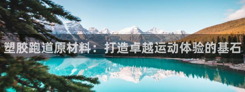 红足一1世开奖记录：塑胶跑道原材料：打造卓越运动体验的基石