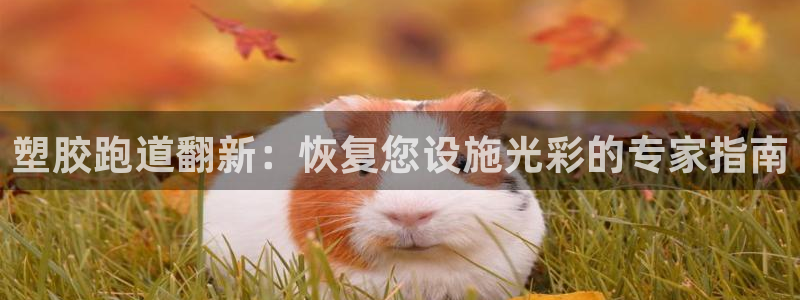 红足一1世开奖记录：塑胶跑道翻新：恢复您设施光彩的专家指南