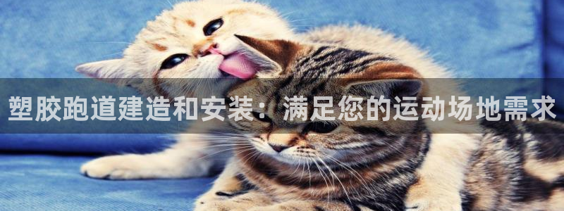 777814红·足一世比分：塑胶跑道建造和安装：满足您的运动场地需求