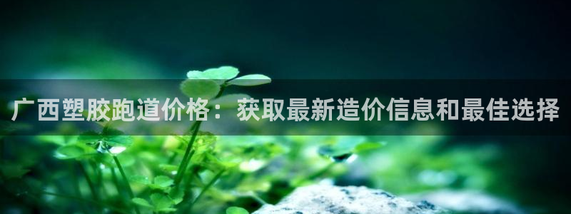红足i世足球手机网：广西塑胶跑道价格：获取最新造价信息和最佳选择