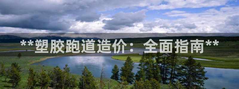 77814红足1世：**塑胶跑道造价：全面指南**