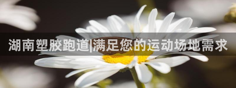 红足一生世：湖南塑胶跑道|满足您的运动场地需求