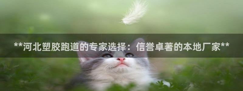 红足一1世比分球探：**河北塑胶跑道的专家选择：信誉卓著的本地厂家**