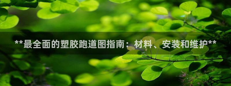 红足一球：**最全面的塑胶跑道图指南：材料、安装和维护**