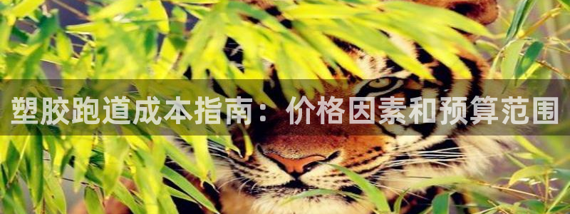 红足一1世666814最新结果：塑胶跑道成本指南：价格因素和预算范围