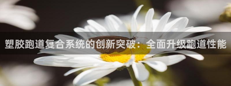 红足一1世皇冠地址：塑胶跑道复合系统的创新突破：全面升级跑道性能
