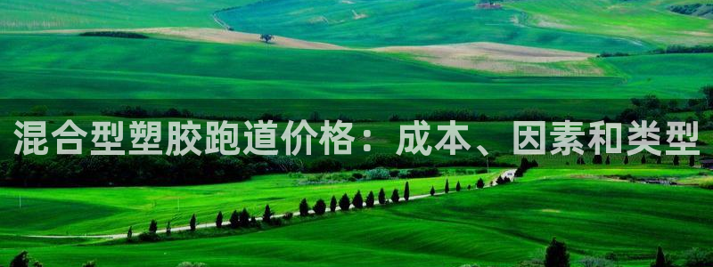 红足一1世平台：混合型塑胶跑道价格：成本、因素和类型