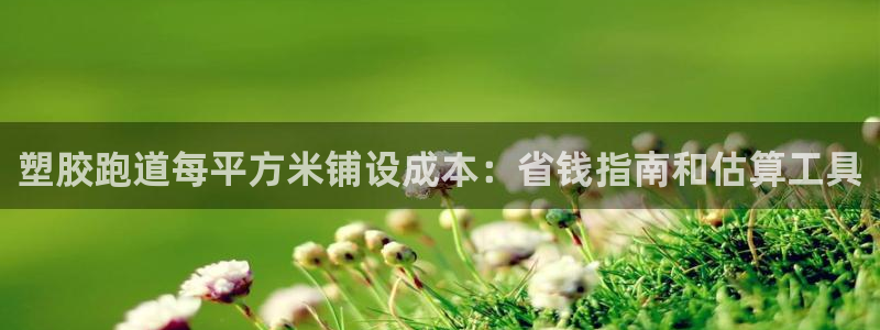 红足1一世 2站：塑胶跑道每平方米铺设成本：省钱指南和估算工具