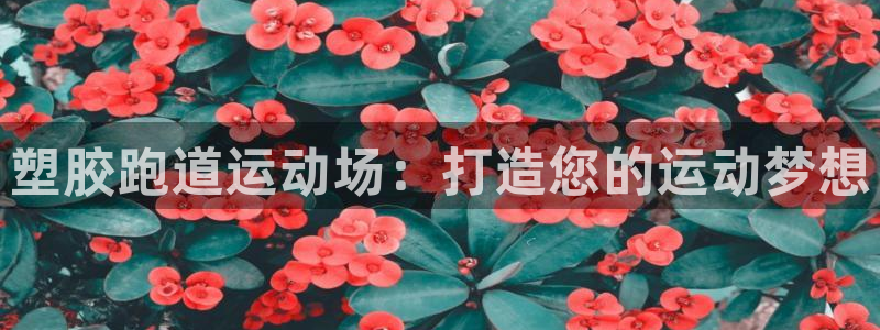 红足1世手机板：塑胶跑道运动场：打造您的运动梦想