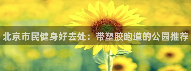 红足1世手机下载：北京市民健身好去处：带塑胶跑道的公园推荐