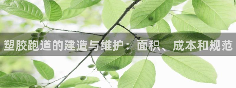 红姐现场直播开奖记录：塑胶跑道的建造与维护：面积、成本和规范