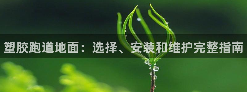 红足一丰：塑胶跑道地面：选择、安装和维护完整指南