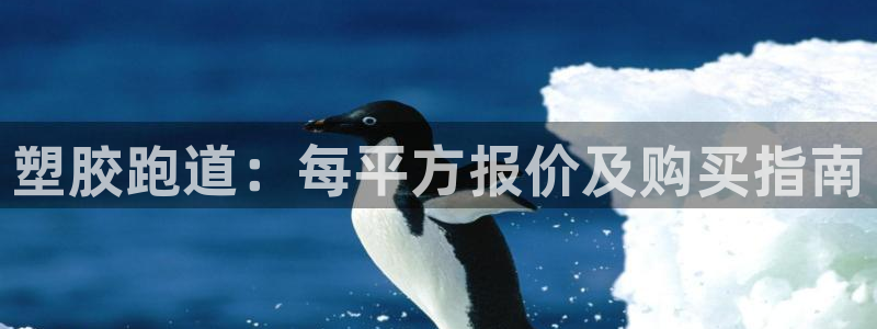 4633333开奖结果4176一点红