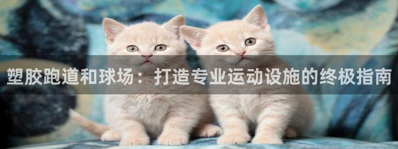 红足一1世666814足球：塑胶跑道和球场：打造专业运动设施的终极指南