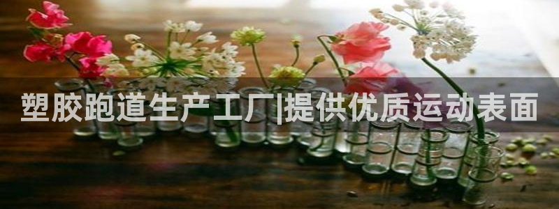 红足1世1站：塑胶跑道生产工厂|提供优质运动表面