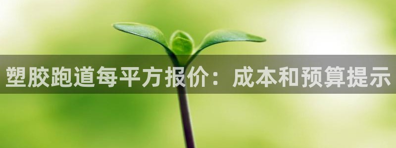 777814红·足一世：塑胶跑道每平方报价：成本和预算提示