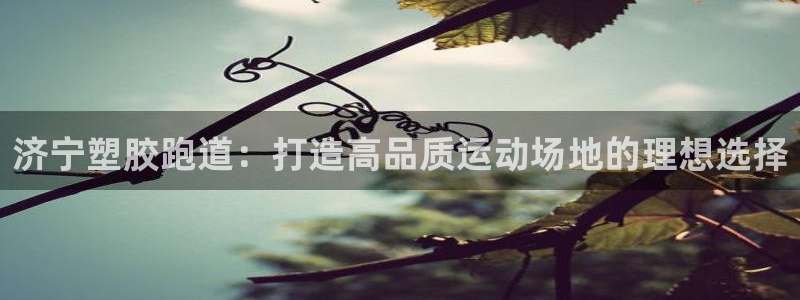 红足一1世666814足球比分网