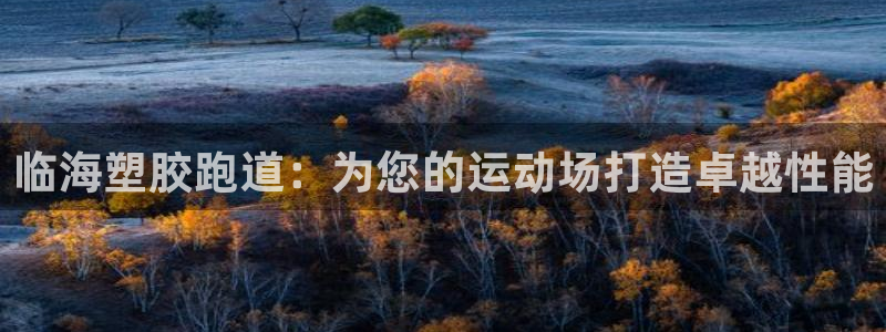 红足体育网：临海塑胶跑道：为您的运动场打造卓越性能