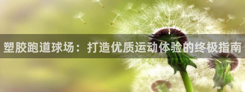红足一1世皇冠地址：塑胶跑道球场：打造优质运动体验的终极指南
