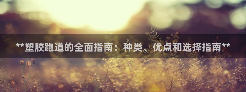 红足一1世平台：**塑胶跑道的全面指南：种类、优点和选择指南**