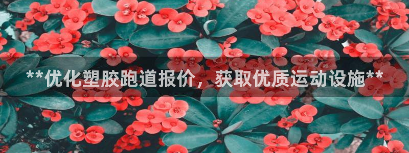 红足一1世皇冠：**优化塑胶跑道报价，获取优质运动设施**