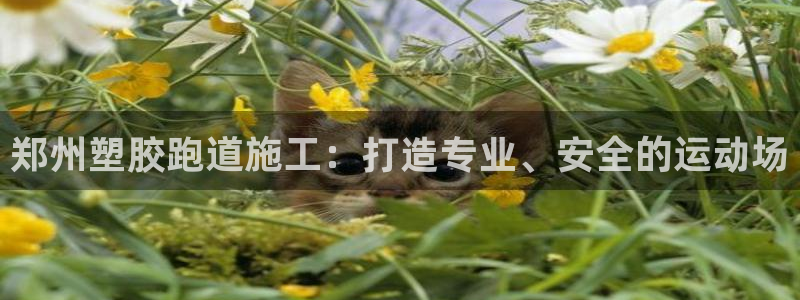 红足一1世：郑州塑胶跑道施工：打造专业、安全的运动场