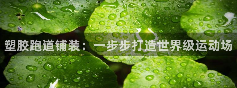 红足一球：塑胶跑道铺装：一步步打造世界级运动场