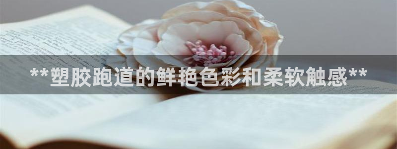 红足一1世77814：**塑胶跑道的鲜艳色彩和柔软触感**
