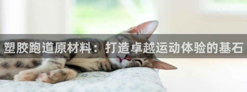 红足1世足球：塑胶跑道原材料：打造卓越运动体验的基石