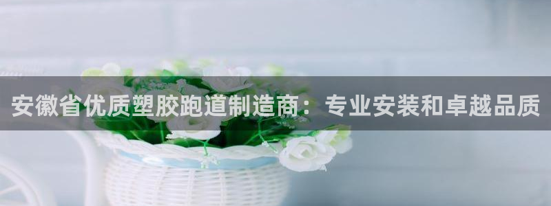 百度红足一1是什么样子的：安徽省优质塑胶跑道制造商：专业安装和卓越品质