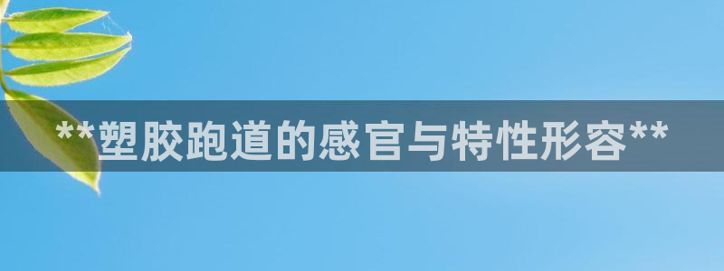 红足一球：**塑胶跑道的感官与特性形容**