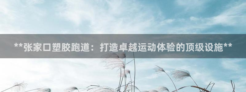 777814红·足一世比分：**张家口塑胶跑道：打造卓越运动体验的顶级设施**