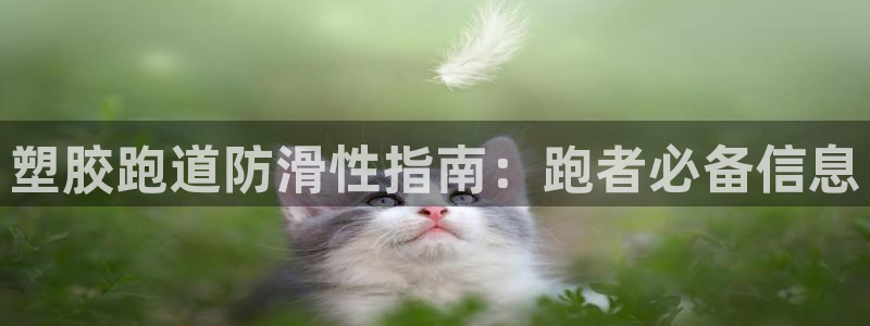 红足1一世：塑胶跑道防滑性指南：跑者必备信息
