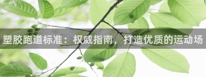 红足1世足球比分：塑胶跑道标准：权威指南，打造优质的运动场