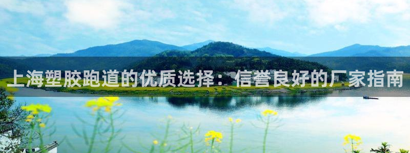 红足一1世比分：上海塑胶跑道的优质选择：信誉良好的厂家指南