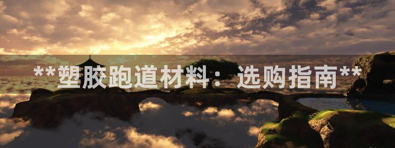 红足1世足球比分：**塑胶跑道材料：选购指南**