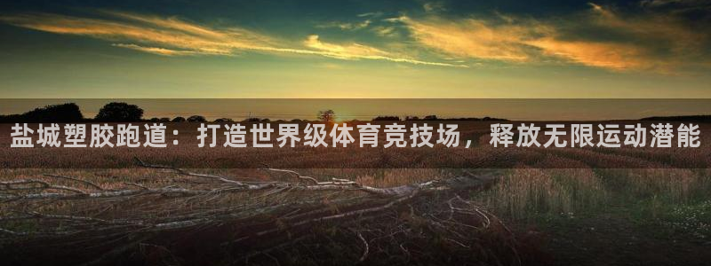 333814红足1世：盐城塑胶跑道：打造世界级体育竞技场，释放无限运动潜能