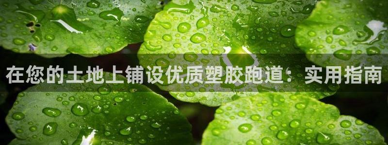 777814红·足一世比分篮球：在您的土地上铺设优质塑胶跑道：实用指南