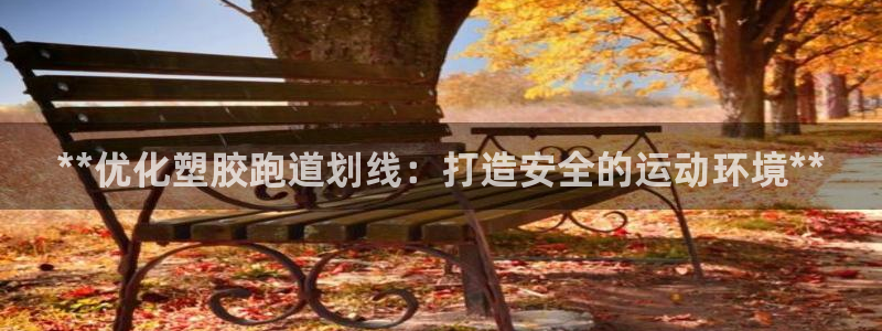 红足一生世：**优化塑胶跑道划线：打造安全的运动环境**