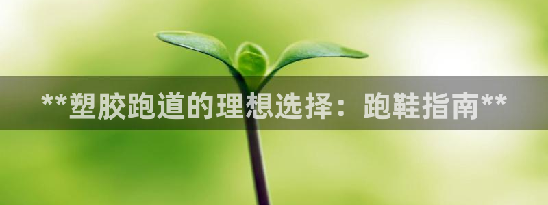 红足网足球直播：**塑胶跑道的理想选择：跑鞋指南**