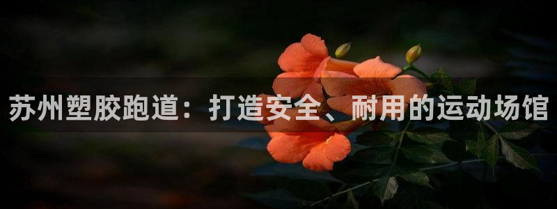 44814红足：苏州塑胶跑道：打造安全、耐用的运动场馆