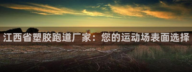 77814红足1世：江西省塑胶跑道厂家：您的运动场表面选择
