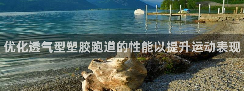 红足1一世：优化透气型塑胶跑道的性能以提升运动表现